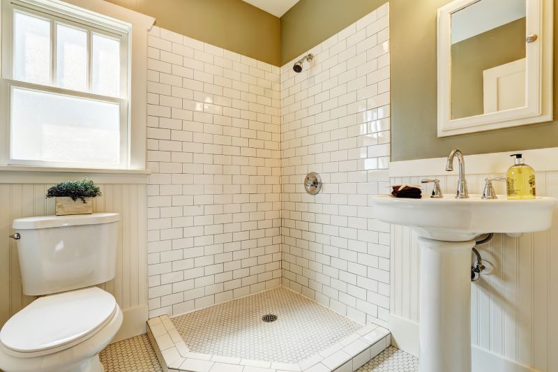Bathroom Renovation Focus